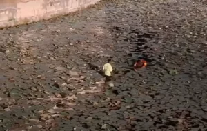 Trench jumping incident
