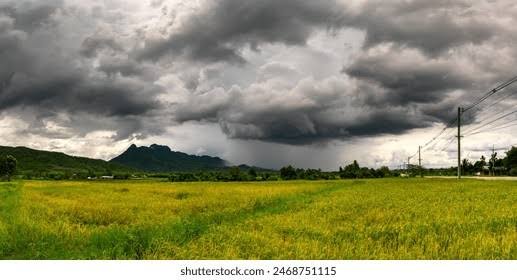 which-districts-are-likely-to-receive-heavy-rain-today-weather-center-information