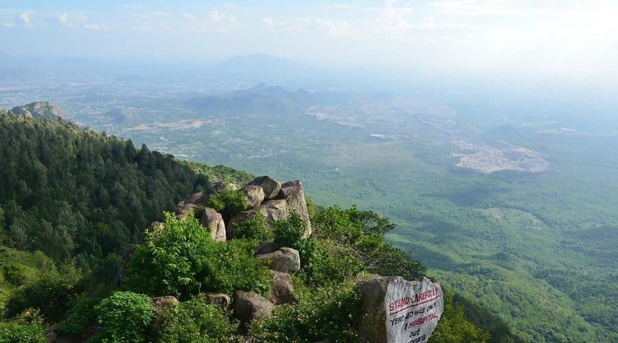 Young woman's decomposed body recovered