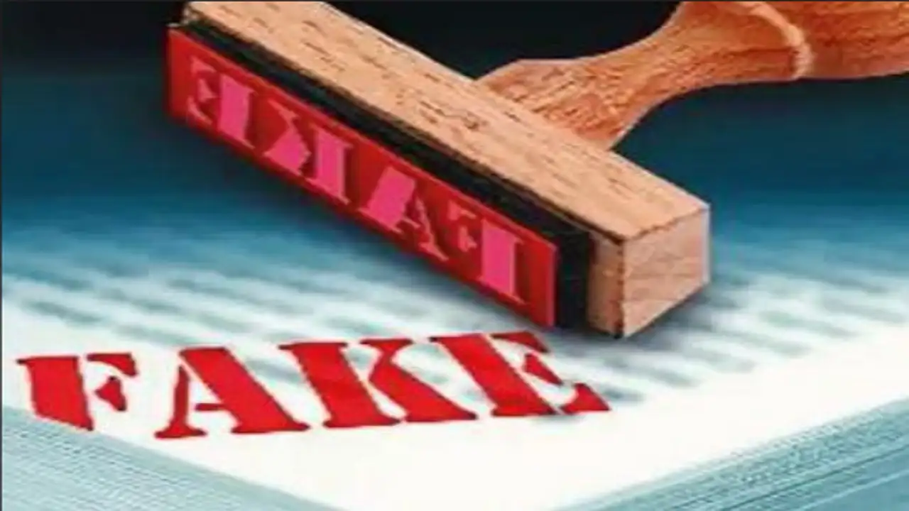 new-law-of-the-central-government