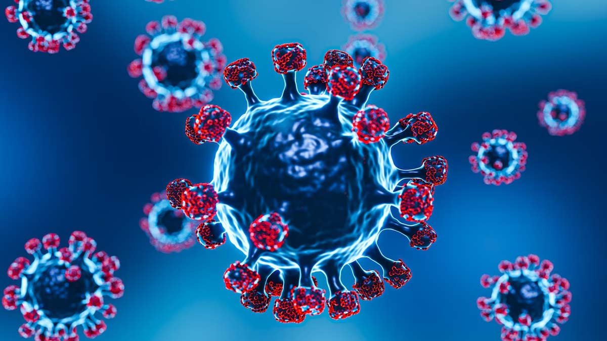 Corona is circulating again