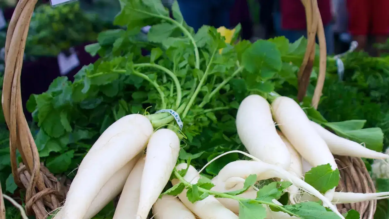 Are radish greens so much better than radishes