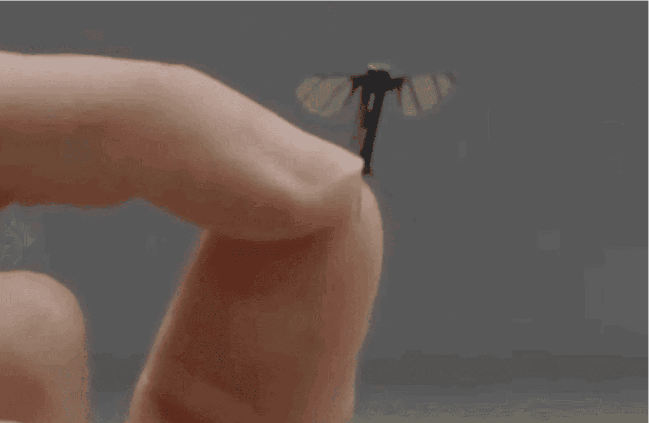 Drone on a mosquito scale