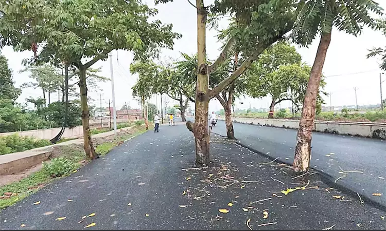 Road built at a cost of 100 crores