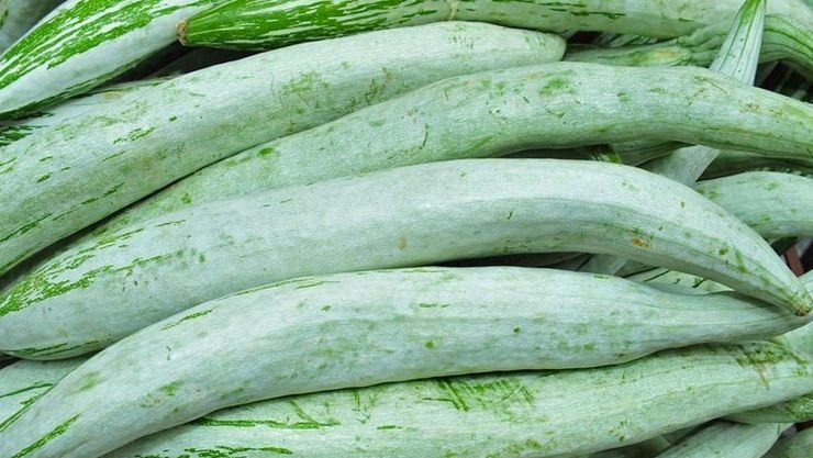 Pudalangai, which soothes the stomach