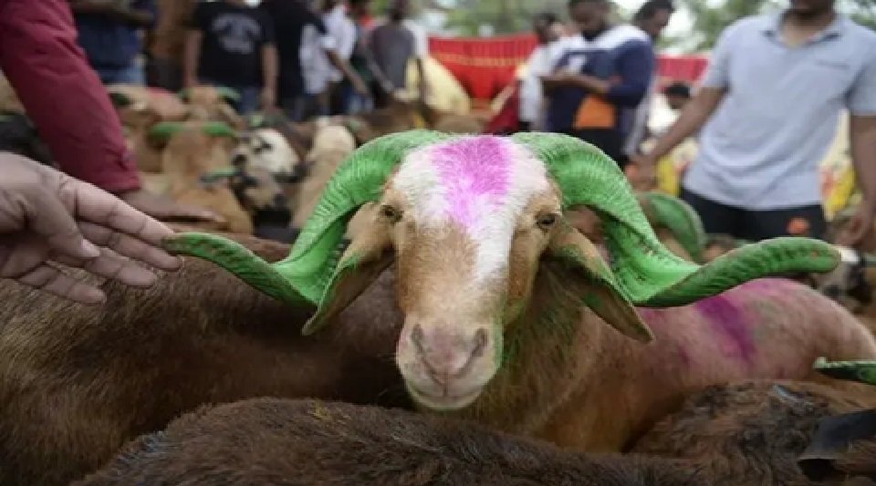Ban on sacrificing goats and chickens