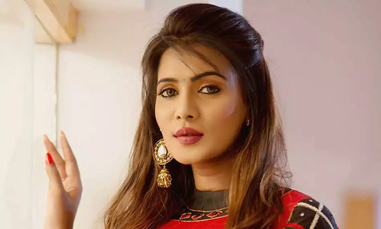 Actress Meera Mithun admitted to mental hospital