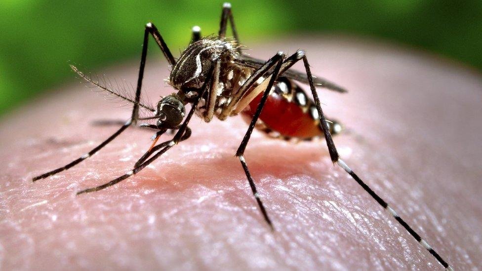 Chikungunya spreading rapidly in China