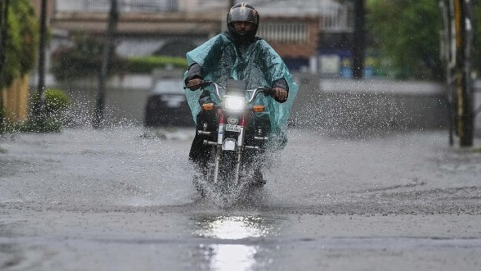 Rainfall forecast for September