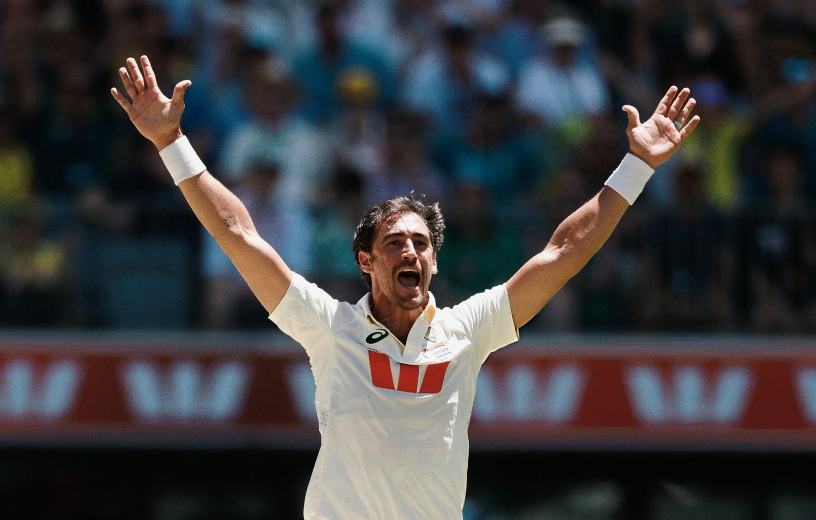 Starc's pace!! England batsmen are stumped