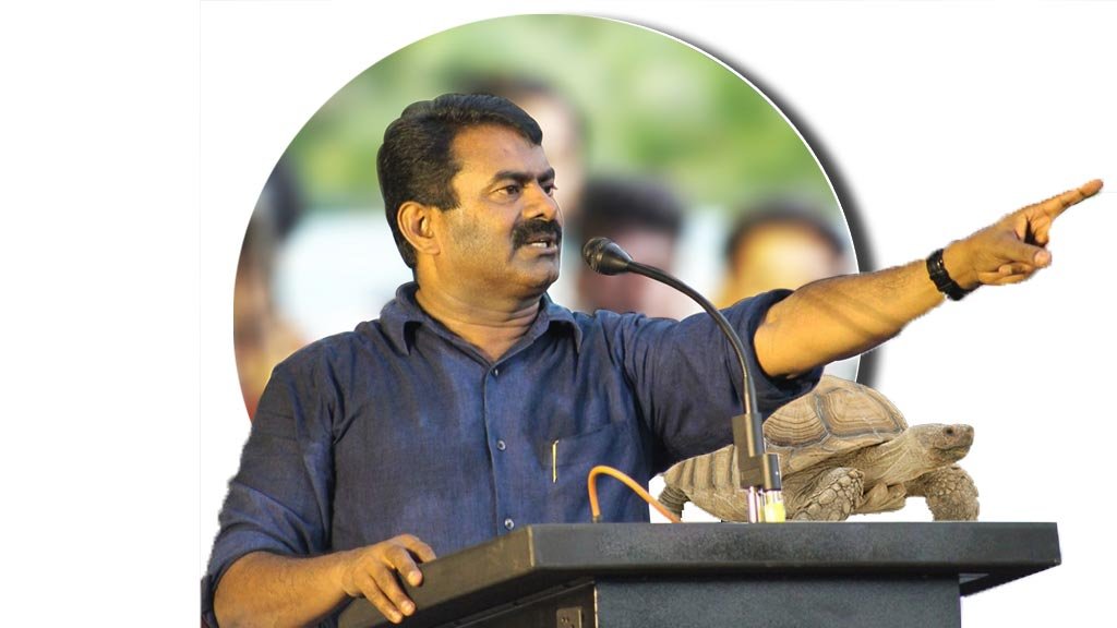 NTK Seeman Latest News