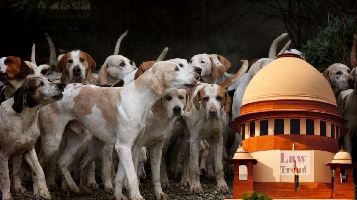Supreme Court, Stray Dogs, Dog Bite Liability, Animal Rights.